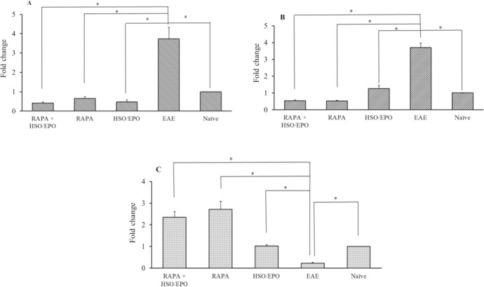 The fold changes in the mRNA expression of IL-17, STAT-3, and FOXP3+ genes in the lymphocytes. The expression of (A) IL-17 and (B) STAT-3 indicate the expression of IL-17 and STAT-3 in the HSO/EPO and both of RAPA groups exhibited a significant reduction compared to EAE mice. The expression of (C) FOXP3+ in the HSO/EPO and both of RAPA groups indicated a significant increase compared to EAE mice. Data are presented as mean ± SEM. *Indicates significant differences between corresponding groups (P ≤ 0.05). IL-17, Interleukin-17; STAT3, signal transducer and activator of transcription factor3; FOXP3+, Forkhead box P3; HSO/EPO, hemp seed oil/evening primrose oil; EAE, experimental autoimmune encephalomyelitis.
