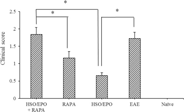 Clinical scores for the severity of experimental autoimmune encephalomyelitis in mice. Data are presented as mean ± SEM. * Shows significant difference between groups, P ≤ 0.05.