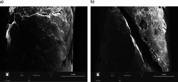 Pellet D: (a) surface area of fresh pellets; (b) surface area of pellets after moisture test.