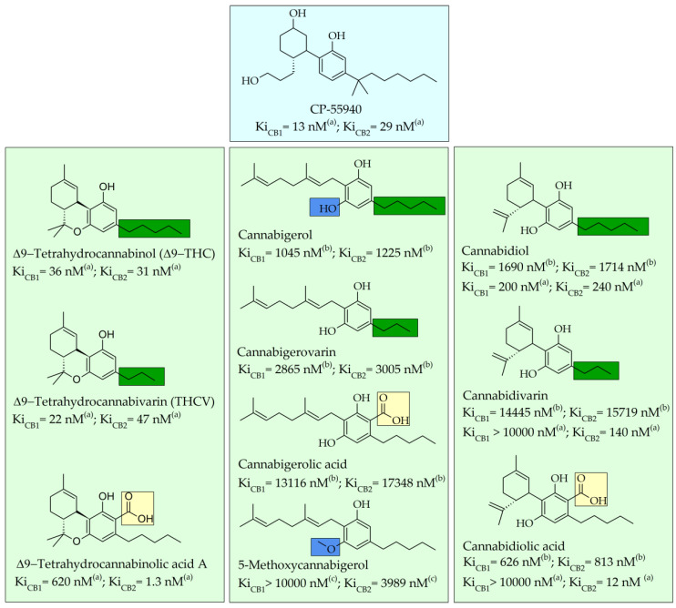 Chemical structures and binding affinities of ten major phytocannabinoids able to cause, in vitro, the displacement of synthetic [3H]CP55940 bound to human cannabinoid receptors 1 or 2 both embedded in cellular membranes. The binding affinities are reported according to the published data available in the following scientific articles: a [65]; b [70]; c [68].The chemical structures were prepared with ACD/ChemSketch, and the three classes of phytocannabinoids are included in separate inserts. The substituents of the resorcinyl moiety whose replacements cause a change in affinity constants (Ki) are highlighted.