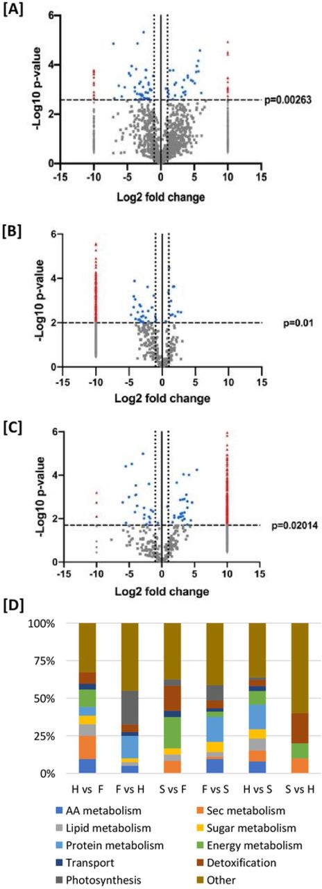 Volcano plot data models of relative protein abundance in a pairwise comparison of [A] glandular trichome heads and late-stage flowers. [B] Glandular trichome stalk enriched and late-stage flowers. [C] glandular trichome heads and glandular trichome stalk enriched. Each point on the model represents one protein. The Log2 (fold change: Heads/Late flower) is plotted against the –Log10(Benjamini-Hochberg corrected p-value). The vertical line at x=0 represents the 0-fold change threshold. Perforated lines intersecting x=−1 and x=1 represent a two-fold change in abundance. Red triangles denote proteins found exclusively in one group but not the other p<0.00263. Grey triangles represent proteins unique to one group that may be by chance. Blue dots represent proteins found in both sample types, that are significantly more abundant in one sample or the other. Grey dots represent proteins found in both sample types that are not significantly more abundant in either sample type.D: percent representation of major metabolic categories in pairwise comparisons …