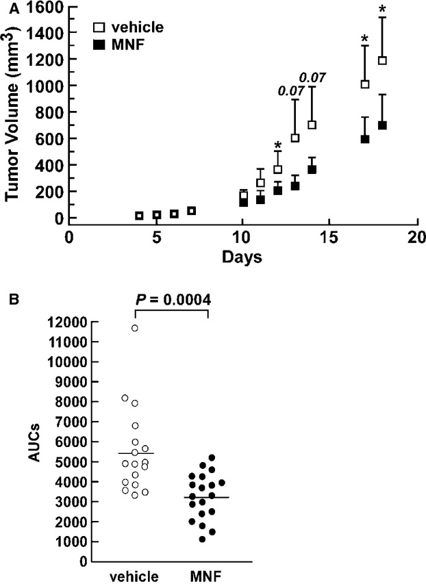 MNF reduces tumor growth in vivo in a rat C6 glioma xenograft model. C6 tumor-bearing female nude mice were assigned randomly to either the vehicle or the MNF group. Treatment was given by injecting either 2 mg/kg MNF or citrate in PBS five days a week for 18 days. Tumor volume was monitored daily and mice were sacrificed on the day after the last treatment. A, Tumor volume over time is shown for MNF-treated animals (n = 9) compared with vehicle-treated controls (n = 8). Data points represent the means ± SD. *, P < 0.05. Similar results were obtained in a second cohort of animals. B, Individual AUCs from the two cohorts of animals are depicted. The average AUC ± SEM for the vehicle and MNF group was 5450 ± 518 (n = 17) and 3217 ± 265 (n = 19), respectively. The P-value presented is for a two-tailed Student's t-test.