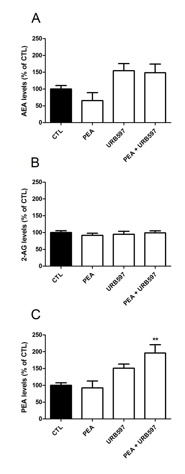 Tumor endocannabinoid levels. (A) AEA, (B) 2-AG and (C) PEA levels were measured by HPLC-MS in tumor samples of mice treated i.p. with vehicle (n = 15), PEA (n = 7), URB597 (n = 7) or both molecules co-incubation (n = 15) (at 10 mg/kg/day, daily) for six days. Basal levels are 78.4 ± 11.7 pmol/g, 1.55 ± 0.11 nmol/g and 546.1 ± 55 pmol/g of tissue for AEA, 2-AG and PEA, respectively. Significantly different (**P < 0.01) from vehicle administration.