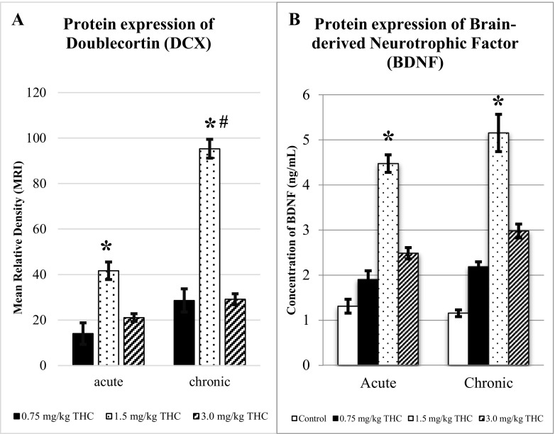 Doublecortin (DCX) and brain-derived neurotrophic factor (BDNF). Graphs shows the expression of doublecortin (DCX) (a) and brain-derived neurotrophic factor (BDNF) (b) for acute and chronic treatments (± S.E.M.). Increment expression of both marker suggesting neurogenesis and cognitive enhancement affected by ∆9-THC. The expression of DCX and BDNF are increased as compared to control. There are significant differences between the control, 0.5, and 3.0 mg/kg of Δ9-THC as compared to 1.5 mg/kg of Δ9-THC (*p < 0.05). Chronic treatment of 1.5 mg/kg of Δ9-THC is significantly difference as compared to acute treatment of the same dose (# p < 0.05). The expression of BDNF for acute treatment is comparable to chronic. *p < 0.05 vs 1.5 mg/kg of Δ9-THC