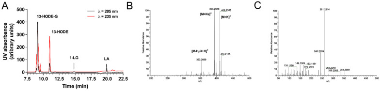RP-HPLC chromatogram and mass spectrometry analysis of 13-HODE-G. (A) Separation of 13-HODE-G from other possible contaminants. The reaction products (~350 µg) of 1-LG with soybean lipoxygenase were loaded onto the HPLC column and eluted as described in Material and Methods. (B) Positive electrospray ionization mass spectrometry (ESI+) of 13-HODE-G. Positive electrospray ionization mass spectrometry (ESI+) of 13-HODE-G yielded three main cations; [M-H2O+H]+ was found at m/z 353.2689, [M+Na]+ at m/z 393.2618 and [M+K]+ at m/z 409.2355. (C) Collision-Induced Dissociation (CID) at Higher-energy collisional dissociation (HCD) of 20 eV of 13-HODE-G. CID of [M-H2O+H]+ at m/z 353.2689 led to the dominant product ion of m/z 261.2214.