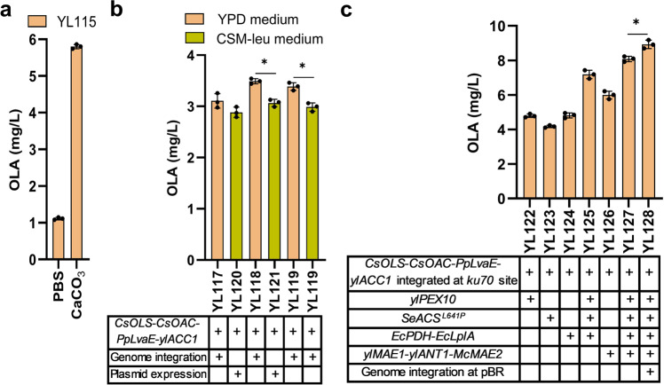 Improve olivetolic acid (OLA) production by controlling pH and increasing acetyl-CoA, ATP and NADPH supply.a OLA titers after controlling pH of the fermentation medium by using either PBS buffer or CaCO3. b OLA titers in strains with relevant genes integrated into different genomic loci cultivated in YPD or CSM-leu media. c OLA titers in engineered strains by expressing different enzymes and their combinations for improving the supply of acetyl-CoA, ATP and NADPH. Error bars represent standard deviation of three biological replicates (n = 3). The asterisk indicates the statistical significance at a p < 0.05 (two-tailed t-test).