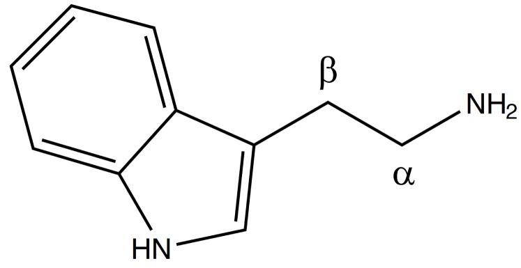 Tryptamine structure.