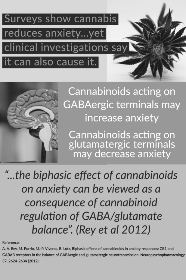 Summary of biphasic anxiolytic/anxiogenic effects of cannabis