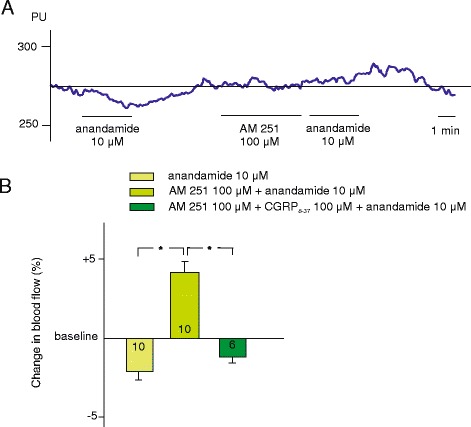 Effect of AM 251 and CGRP8–37 on anandamide-induced vasodilatation in the dura mater. Original recording (a) and statistical evaluation (b) of changes induced by anandamide (10 μM) before and after the application of AM 251 (100 μM) or AM 251 (100 μM) and CGRP8–37 (100 μM). Percentage changes in blood flow were calculated as mean ± SEM for the 3-min application period relative to the baseline. The number of experiments is indicated in the bars. *: statistically different from the effect of anandamide after AM 251 pretreatment (p < 0.05)