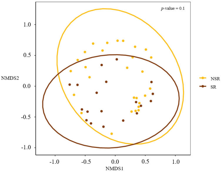 Beta diversity. Non-metric Multidimensional Scaling (NMDS) ordination of beta diversity analyses at the ASV (Amplicon Sequence Variant) level did not exhibit any significant differences between the SR and NSR groups (p = 0.1).