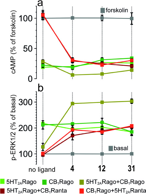 Effect of selected compounds on the decrease in FK (0.5 μM)-induced cAMP (a) or increase in ERK1/2 phosphorylation (b). Cells were preincubated with a vehicle (no ligand) or with the 5HT2AR agonist DOI (5HT2ARago, 100 nM) or the CB1R agonist WIN (CB1Rago, 100 nM) or in combinations with the 5HT2AR antagonist MDL (5HT2ARanta, 300 nM) (CB1Rago + 5HT2ARanta) or the CB1R antagonist RIM (CB1Ranta, 1 μM) (5HT2ARago + CB1Ranta), or both agonists (5HT2ARago + CB1Rago). Quantification of phosphorylated ERK-1/2 was determined by the α-screen bead-based technology. Values in panel a are mean ± SEM of n = 6 of FK-treated cells, and values in panel b, expressed as a percentage of basal (nontreated cells), are mean ± SEM of n = 6. Two-way ANOVA followed by Tukey’s multiple comparison tests was used to analyze the data (Table S2).