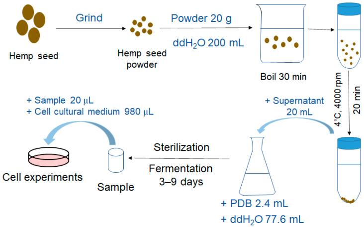 Workflow of preparation and fermentation of “hemp seed juice”.