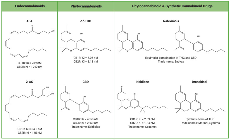 Comparison of cannabinoid structures and receptor binding affinities. Cannabinoids can be classified into three major groups: endocannabinoids, phytocannabinoids, and synthetic cannabinoids. The structures and binding affinities of AEA, 2-AG, Δ9-THC, CBD, and nabilone are displayed. While the structures of nabiximols and dronabinol are also shown, there is currently no published information for the Ki values of these compounds. Created with BioRender.com (accessed on 7 March 2021).