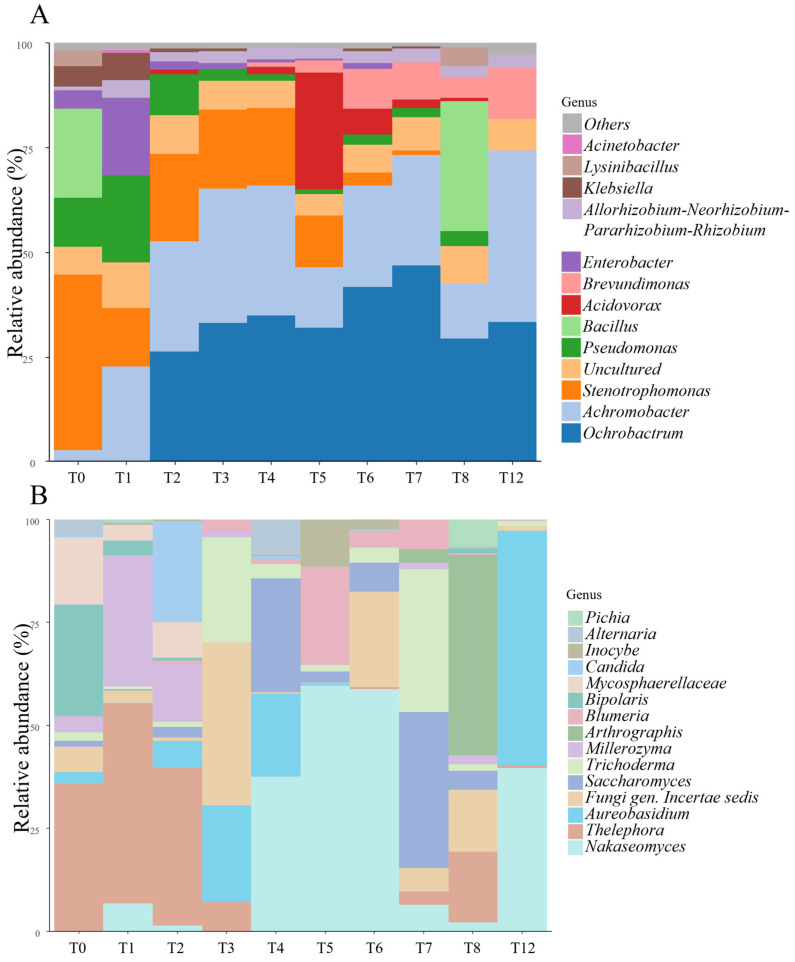 Bar plot describing microbial dynamics through the maceration process. For each fraction (x-axis), the abundances at the genus level are vertically arranged in blocks of different colours and widths. Colours indicate different genera; conversely, the same colour is used to define the same genus. Colour codes are described in the legend on the right. The width indicates the relative abundances—the wider the block, the more abundant the genus. (A) Relative abundance calculated on 16S rRNA gene sequences to describe prokaryotes dynamic. (B) Relative abundance calculated on ITS sequences to follow the eukaryotic dynamic.