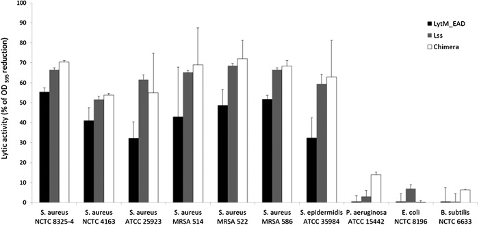 Activity of the enzymes against various bacterial strains was measured as OD595 decrease of tested bacterial strains incubated 1 hr in room temperature with 100 nM enzymes in 50 mM glycine buffer, pH 8.0, additionally supplemented with 100 mM NaCl for Chimera and lysostaphin.