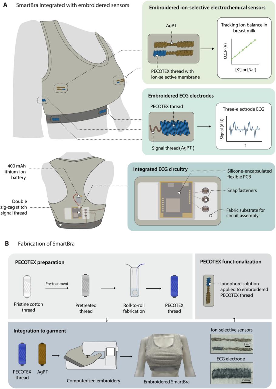 SmartBra design overview and key fabrication steps. (A) A schematic illustration of the SmartBra design, with ECG sensing located in the elastic bands and the ion-based breast milk sensing over the nipple area for passive milk collection. (B) Schematic illustration of the fabrication of the SmartBra using embroidery of PECTOTEX and AgPT (Ag-plated thread). Roll-to-roll PECOTEX production (above) and subsequent computerized embroidery (bottom).