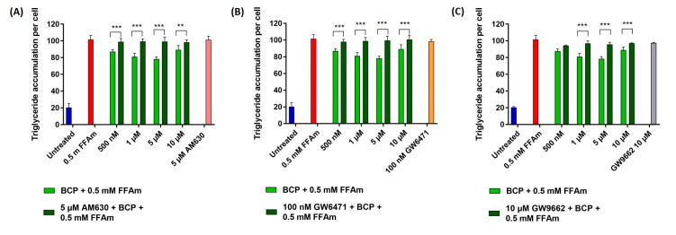 Effect of CB2, PPARα and PPARγ receptors antagonists on triglyceride accumulation per cell. Cells were incubated with different concentrations of BCP and 0.5 mM FFAm, in the presence or absence of specific receptor antagonists for 24 h. (A) Treatment of HepG2 cells with 5 µM CB2 antagonist AM630. (B) Treatment with 100 nM PPARα antagonist GW6471. (C) Treatment with 10 µM PPARγ antagonist GW9662. Data are expressed as a percentage change with respect to 0.5 mM FFA control condition (set equal to 100) and represent the mean ± SEM of five independent experiments. ** p < 0.01; *** p < 0.001 vs. BCP + 0.5 mM FFAm treated cells.