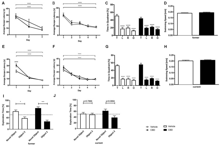 CBD treatment does not affect spatial learning and long term memory. CBD-treated and control mice of the former group displayed intact motor and visual performance in the Morris Water Maze (MWM; A). No impairment of spatial learning due to CBD treatment in acquisition training was seen in former treated mice (B). The probe trial revealed that the long term memory was not affected by prolonged CBD treatment in C57BL/6J mice of the former group as they spent significantly more time in the target quadrant compared to the other quadrants of the maze (C). The swimming speed during probe trial was not affected (D). Current treated mice proved visual and motor abilities to swim in cued training (E). Spatial learning was not altered as mice of the current group improved significantly during acquisition training (F). In probe trial, current CBD-treated mice and vehicle-control mice displayed a clear preference for the target quadrant (G). The swimming speed of the mice of the current group during probe trial did not differ significantly (H). Furthermore, CBD treatment did not affect memory in novel object recognition (NOR) in the former group (I). Whereas current CBD-treated mice (J) showed a trend towards novelty preference, former treated mice showed clear preferences for the novel object. Fifty percent chance level is indicated by a dashed line. Two-way (A,B,E,F) and one-way (C,G) ANOVA followed by Bonferroni multiple comparisons, unpaired t-test (D,H), paired t-test (I,J); n = 14–19, ****p < 0.0001; ***p < 0.001; *p < 0.05. Data presented as mean ± SEM.