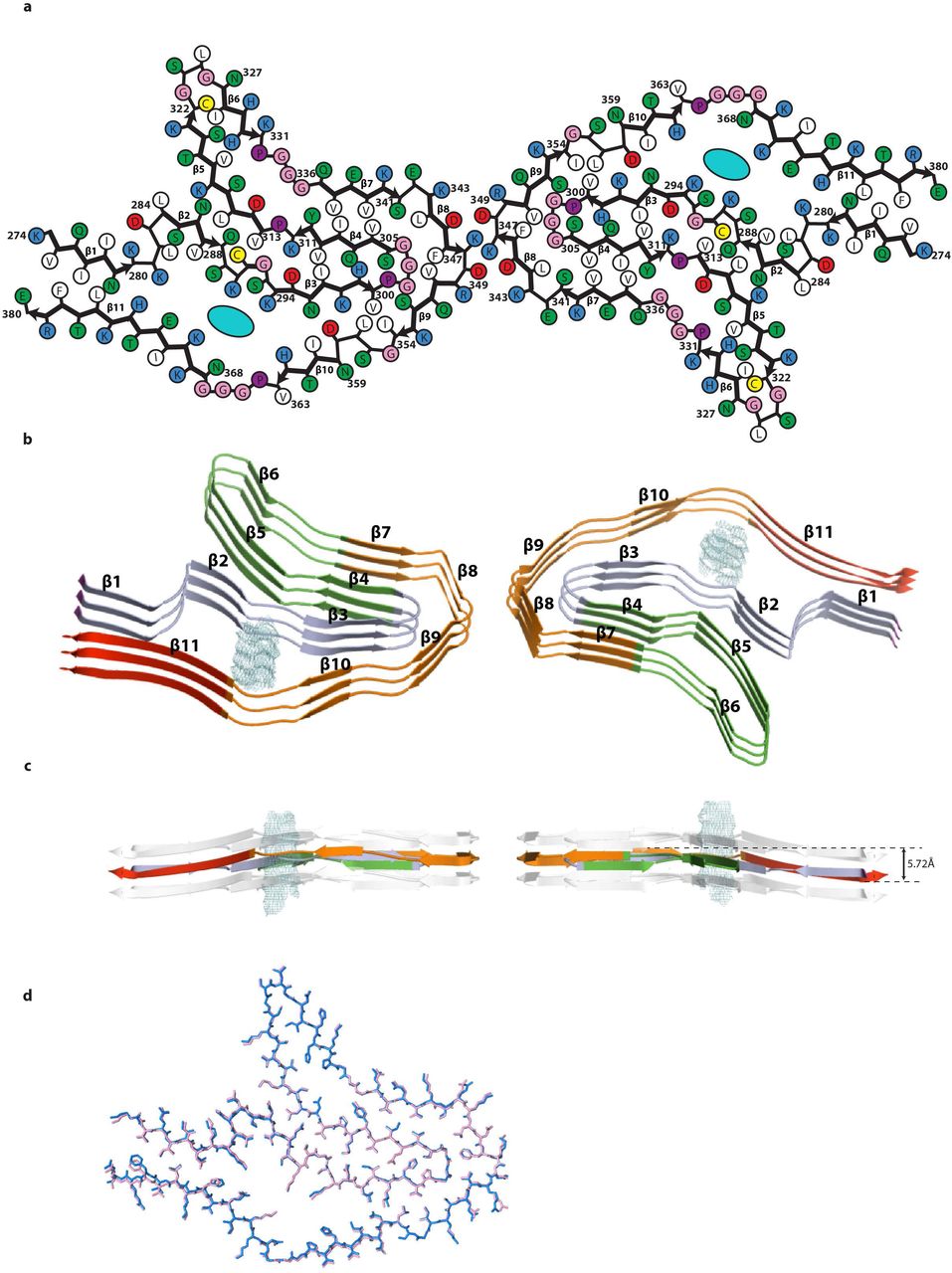 CBD tau filament fold.a, Schematic of the CBD fold. b, Rendered view of the secondary structure elements in the CBD fold, depicted as three successive rungs. c, As in b, but in a view perpendicular to the helical axis, revealing the changes in height within a single molecule. d, Comparison of the protofilament structures of CBD Type I (blue) and Type II (pink).