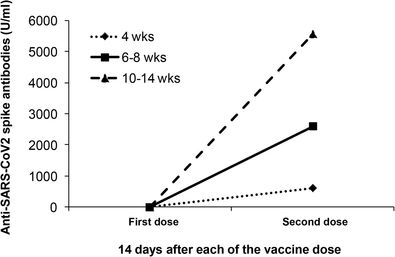 Longer time gap between the first and second vaccine doses is beneficial.The X-axis denotes the 14th day sample after the first and second doses. The Y-axis denotes the anti-SARS-CoV2 spike antibody concentration in U/ml. The diamond with dotted line represents a 4-week time gap. The square with a solid line represents a 6-8 weeks time gap. The triangle with dashed line represents a 10-14 weeks time gap.