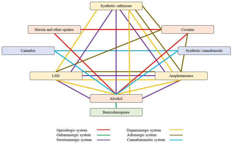 Pharmacological network structure by selectivity on receptors/systems.