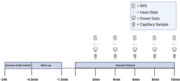 Schematic of experimental procedures.