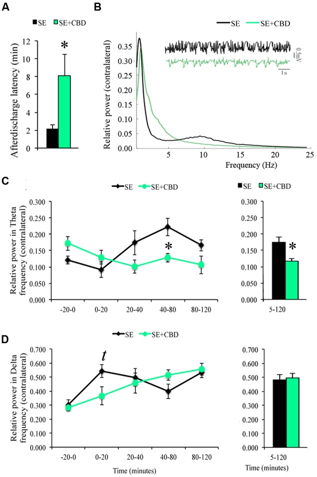 Cannabidiol effects on spontaneous local field potential (LFP) of the contralateral hippocampus during SE. CBD injection prior to SE (SE+CBD group, green bars) increased afterdischarge latency (A), compared to untreated rats (SE group, black bars). Relative power of frequencies 0.5–25 Hz from a representative SE rat (black line) and a SE+CBD rat (green line) and a raw LFP hippocampal recording from the same examples (B). Evaluating the LFP recording in time blocks, SE+CBD had a lower relative power in theta between 40 and 80 min and in the whole SE (C). As for delta oscillation, SE+CBD had a trend toward lower relative power in delta in the first 20 min of SE but no difference in the whole SE recording (D). The ∗ indicates difference from SE group, t indicates trend toward difference, and data are expressed as mean ± standard error.