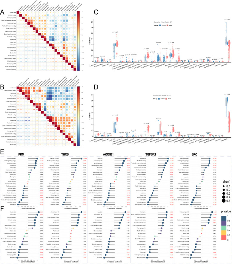 Immune characteristics associated with HTN and immune-infiltrating cells related to core genes. A, B Correlation analysis of key immune cell types in the training and validation sets. C, D Raincloud plots comparing levels of 22 immune-infiltrating cell types between the training and validation sets. E, F Lollipop plots showing correlations between core genes and immune-infiltrating cells in the training and validation sets