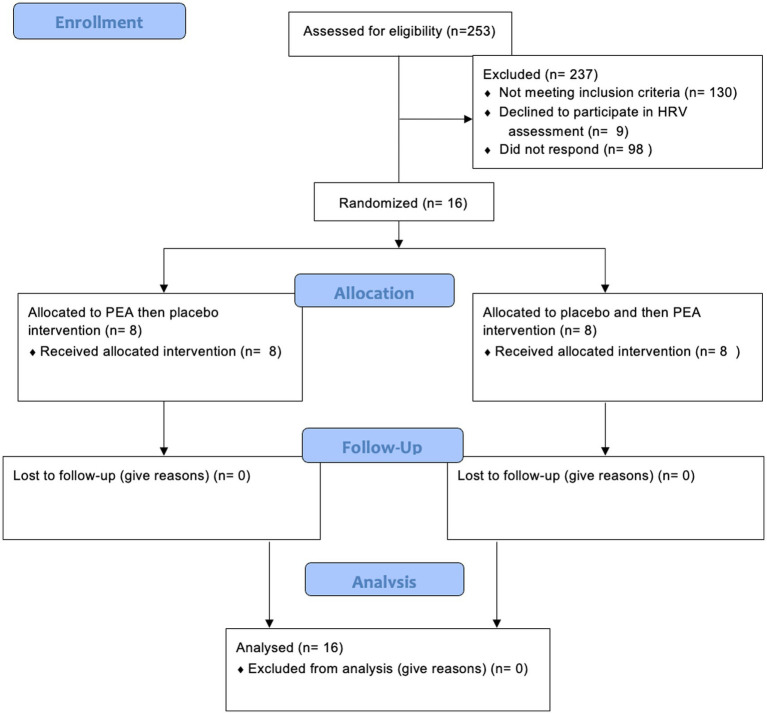 Flowchart depicts a study's participant screening, allocation, follow-up, and analysis. Out of 253 assessed participants, 237 were excluded. Sixteen were randomized; eight received PEA then placebo, and eight received placebo then PEA. All completed follow-up and were included in the analysis, with no losses or exclusions.