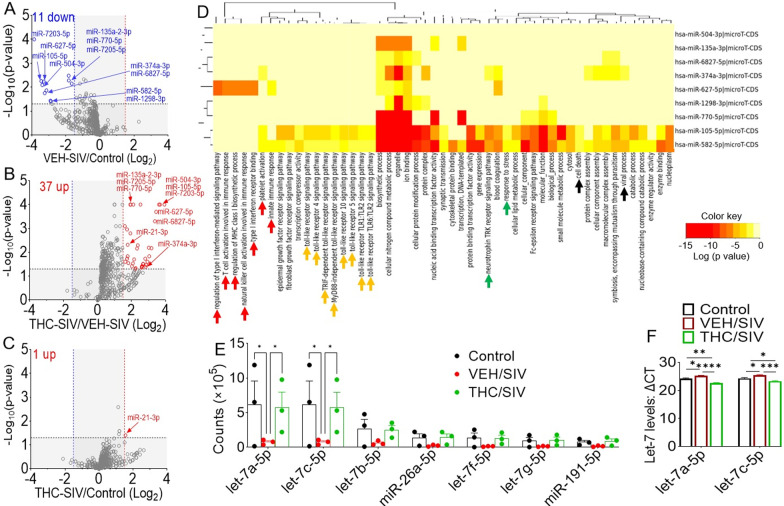 Changes in miRNA expression in BG-EVs from chronically SIV-infected rhesus macaques administered vehicle (VEH) or THC. A–C Volcano plots showing the relationship between fold-change and statistical significance of differentially expressed miRNAs in A VEH/SIV RMs relative to uninfected control, B THC/SIV relative to VEH/SIV RMs, and C THC/SIV relative to control RMs. The blue and red vertical lines correspond to 1.5-fold down and up, respectively, and the horizontal black lines represent p < 0.05. The miRNAs of interest are denoted with arrows. D Heatmap of significant pathways predicted by DIANA-miRPath (v.3) of the human counterparts of the 11 SIV-downregulated miRs, showing inflammation and immune regulation pathway cluster (red arrows), a TLR signaling pathway cluster (orange arrows), in addition to Neurotrophin TRK receptor signaling pathway and response to stress (green arrows), as well as cell death and viral process (black arrows), among others. E Raw counts of selected neuroregulatory miRNAs, downregulated in the VEH/SIV group. F TaqMan PCR validation using mml-let-7a-5p and mml-let-7c-5p specific TaqMan microRNA stem-loop RT-qPCR assays. Statistical differences were assessed by a two-way ANOVA test with Tukey’s correction (n = 3). *p < 0.05