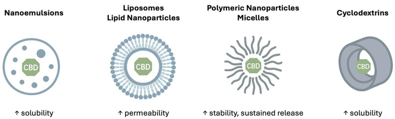 Schematic representation of the main nanocarriers used for cannabidiol (CBD) delivery. The up arrow indicates growth.