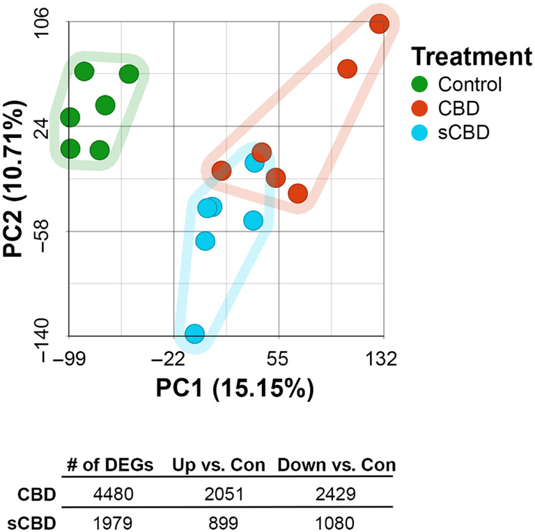 Principal component analysis plot and summary of differentially expressed genes (p < 0.001, FDR step‐up <0.05) by condition.