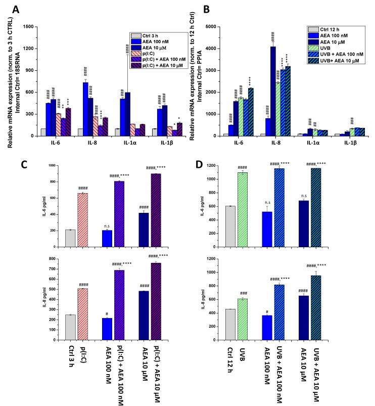 AEA exerts concentration-dependent effects on the inflammatory cytokine expression and release of human corneal epithelial cells: (A,B) Q-PCR IL-6, IL-8, IL-1α, and IL-1β mRNA expression was determined following 3 h p(I:C) treatment (A) and 12 h after 40 mJ/cm2 UVB irradiation (B). Data are presented using the ΔΔCT method compared to 18SRNA (A) and PPIA (B), normalized to the expression of the vehicle-treated control (shown as 100). Data are expressed as mean±SD of 2–3 determinations. One additional experiment yielded similar results. *, **, ***, **** mark significant (p < 0.05, 0.01, 0.001, 0.0001) differences compared with the UVB- or the p(I:C)-treated group; #, ##, ###, #### mark significant (p < 0.05, 0.01, 0.001, 0.0001) differences compared to the vehicle-treated control. (C,D) ELISA determination of IL-6 and IL-8 in the supernatant of human corneal epithelial cells following 3 h p(I:C) and 12 h after UVB irradiation. Data are expressed as mean ± SD of three determinations. One additional experiment yielded similar results. *, **, ***, **** mark significant (p < 0.05, 0.01, 0.001, 0.0001, respectively) changes compared to the treated group; #, ##, ###, #### significant (p < 0.05, 0.01, 0.001, 0.0001) differences compared to the control.