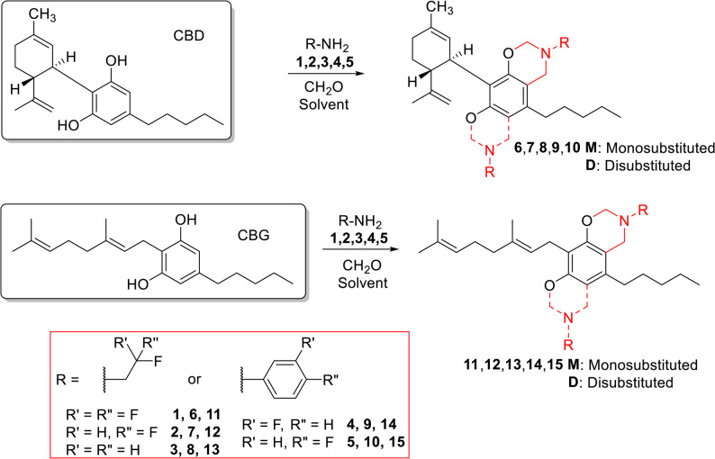 Synthesis of fluorinated CBD and CBG derivatives by Mannich-type reaction. For reaction conditions and yields, see Tables 1 and 2