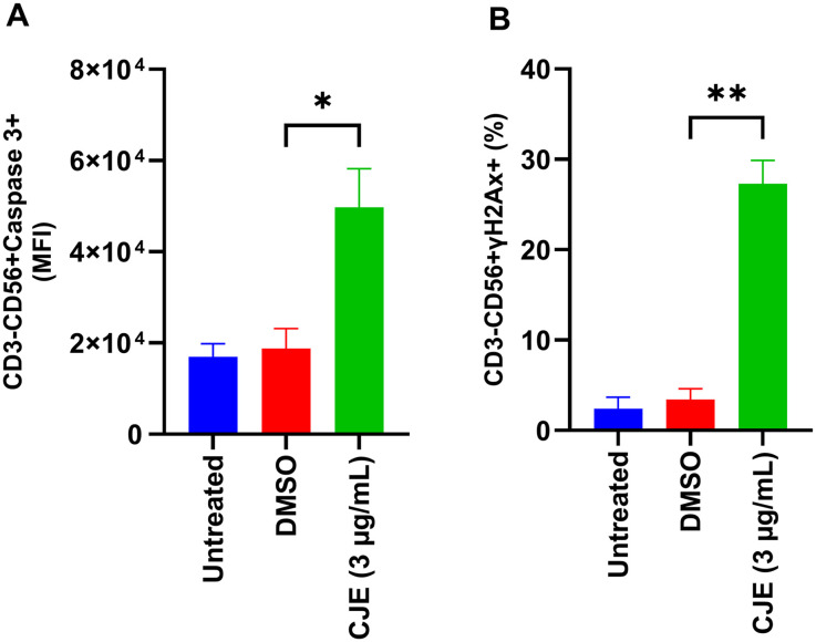 CJE induces apoptosis and DNA damage in NK cells.PBMCs were exposed or not to 3 µg/mL of CJE. (A) Activated caspase-3 levels were measured in CD3 ⁻ CD56 ⁺ NK cells using the Caspase-3 Detection Kit and flow cytometry. (B) DNA damage was assessed by quantifying γH2AX expression in NK cells via flow cytometry. Data are presented as mean ± SEM. *p < 0.05; **p < 0.01; n = 4-5 independent experiments. Untreated = no exposure; DMSO = dimethyl sulfoxide; CJE = cannabis joint extract; MFI = median fluorescence intensity.