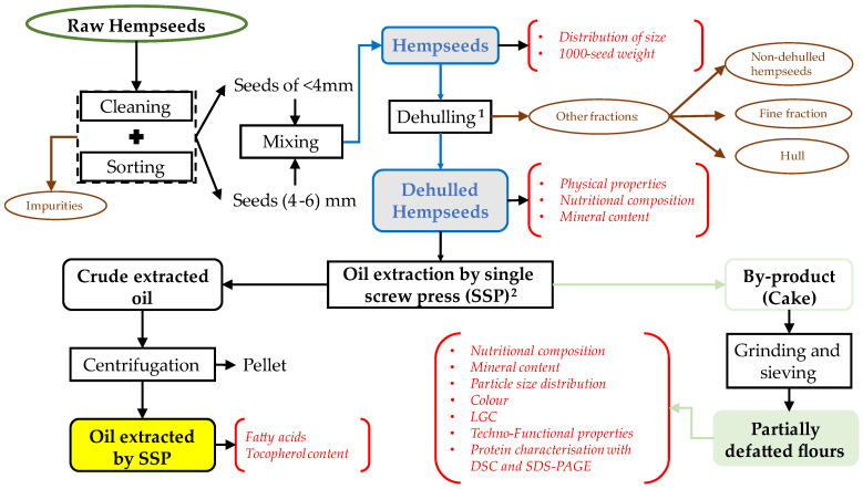 Schematic representation of the processing carried out on hempseeds. The red letters correspond to the analysed parameters and identify the matrices studied. The steps marked with superindices 1 and 2 represent the steps where yields and losses were quantified and reported.