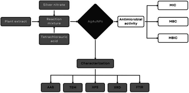 Flowchart summarizing the contents of the study, showing the bimetallic nanoparticle synthesis method and the subsequent physico-chemical characterization as well as antimicrobial activity experiments.
