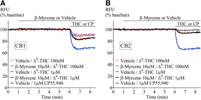 Representative traces of β-myrcene and Δ9-THC in (A) AtT20-CB1 and (B) AtT20-CB2. Fluorescence change mediated by two submaximal concentrations of Δ9-THC (100 nM and 1 μM) in the presence of β-myrcene (10 μM). Terpenoid was added at 1 min and incubated for 5 min before Δ9-THC application. CP55,940 added as positive control. Drugs were added for the duration of the bar. Δ9-THC, Δ9-tetrahydrocannabinol.