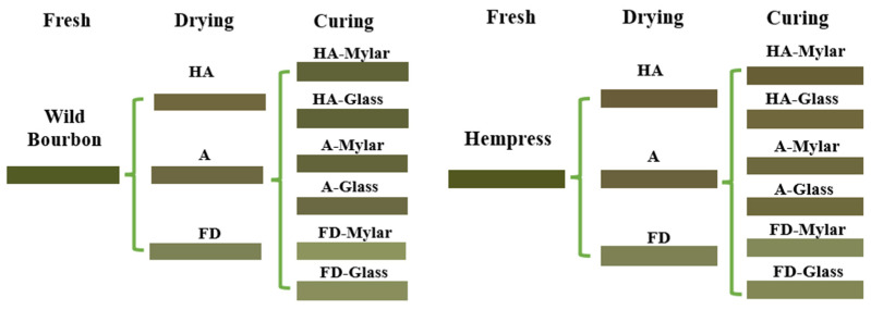 Color representation of the hemp after different drying and curing processes.