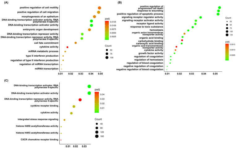 GO terms among treatment groups were analyzed. DEGs from each treatment group were subjected to GO enrichment analysis by clusterProfiler (4.8.1). GO terms that were uniquely enriched or shared among the three treatment conditions, based on FDR-adjusted significance, are presented. The x-axis represents gene ratio. (A) sorafenib treatment alone, (B) cannabis extract treatment alone, and (C) combination treatment with sorafenib and cannabis extract. The figure was generated using ImageGP (https://www.bic.ac.cn/ImageGP/, accessed on 3 April 2026) (n = 3).