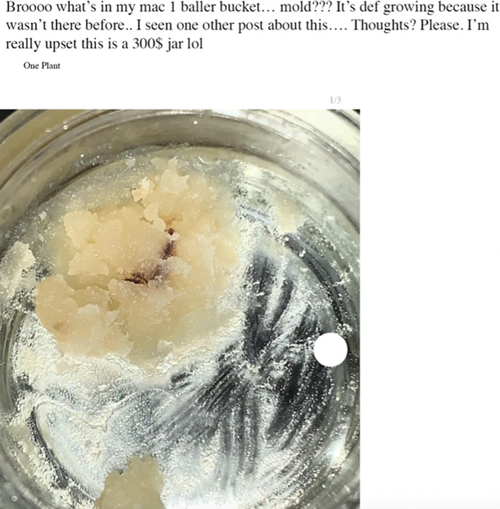 Unidentified black streak in rosin. This figure shows what is left of a “baller bucket” of rosin purchased from a dispensary. A baller bucket is a product that contains 4 g of the same strain of rosin. This appears to be the end of the product and there is something black through the center that may be a form of contamination. Adapted from FLMedicalTrees.