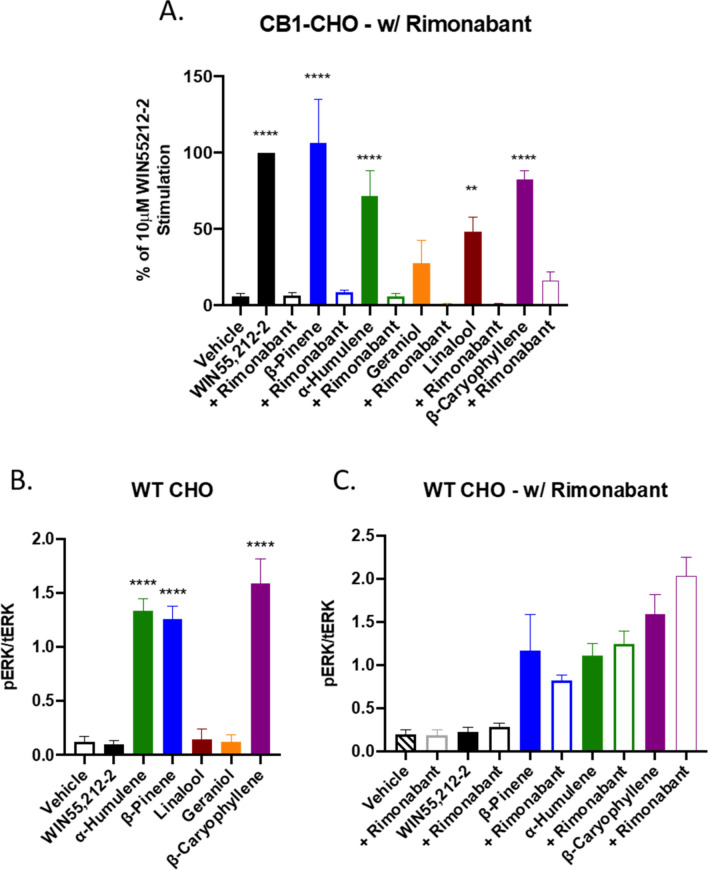 Terpenes Induce CB1-Dependent and Independent Signaling In Vitro. (A) CB1-CHO cells were serum starved for 1 h then pretreated with 10 μM rimonabant or vehicle for 5 min. Cells were then treated with 500 μM terpene, 10 μM WIN55,212-2, or matched vehicle, for 5 min. Lysates were then subjected to Western analysis and blotted for phospho-ERK and total-ERK (see Methods). Graph represents the quantitation of ERK phosphorylation induced by terpene and rimonabant combinations (pERK/tERK). Data expressed as a % of WIN55,212-2 stimulation (n = 3 independent experiments for each). (B) WT CHO cells were serum starved for 1 h then treated with 500 μM terpene, 10 μM WIN55,212-2, or matched vehicle, for 5 min, and analyzed as above. (C) WT CHO cells were serum starved for 1 h, pretreated with 10 μM rimonabant or vehicle, then treated with 500 μM terpene, 10 μM WIN55,212-2, or matched vehicle, for 5 min, and analyzed as above. Data analyzed via one-way ANOVA, Dunnett’s post hoc; **p < 0.01, ****p < 0.0001, compared to vehicle stimulation.