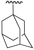 TOMCJ-6-1_T1S24.jpg