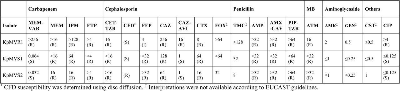 Antimicrobial minimum inhibitory concentrations (MICs; mg/L) determined by UKHSA’s AMRHAI Reference Unit and susceptibility interpretations (as per EUCAST clinical breakpoints v15.0) of three K. pneumoniae clinical isolates. Abbreviations: MEM, meropenem; VAB, vaborbactam; IPM, imipenem; ETP, ertapenem; CET, ceftolozane; TZB, tazobactam; CFD, cefiderocol; FEP, cefepime; CAZ, ceftazidime; AVI, avibactam; CTX, cefotaxime; FOX, cefoxitin; TMC, temocillin; AMP, ampicillin; AMX, amoxicillin; CAV, clavulanate; PIP, piperacillin; ATM, aztreonam; AMK, amikacin; GEN, gentamicin; CST, colistin; CIP, ciprofloxacin; MB, monobactam. Susceptibility interpretations: R, resistant; I, susceptible, increased exposure; S, susceptible.