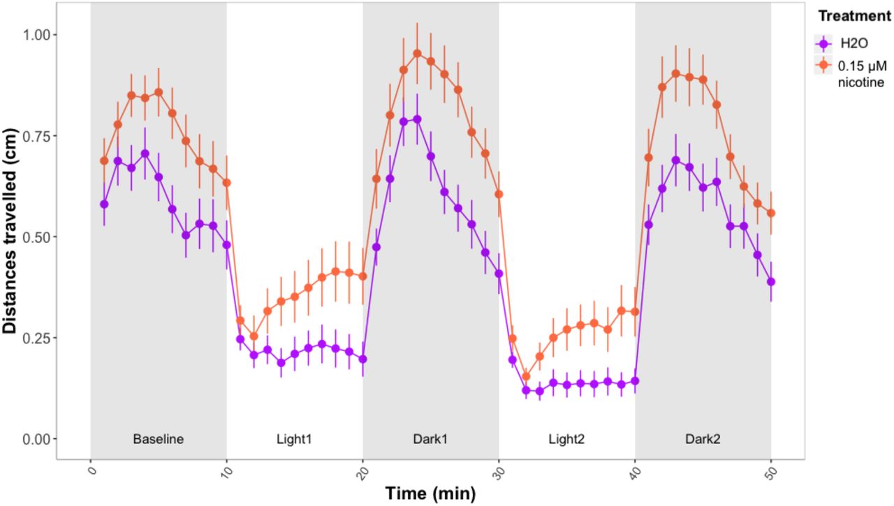 Forced light/dark test in wild type zebrafish exposed to 0.15 μM nicotine. Sample size: n=48 for each dose group. Each dot represents mean of the total distance travelled per minute. Error bars represent ±SEM.