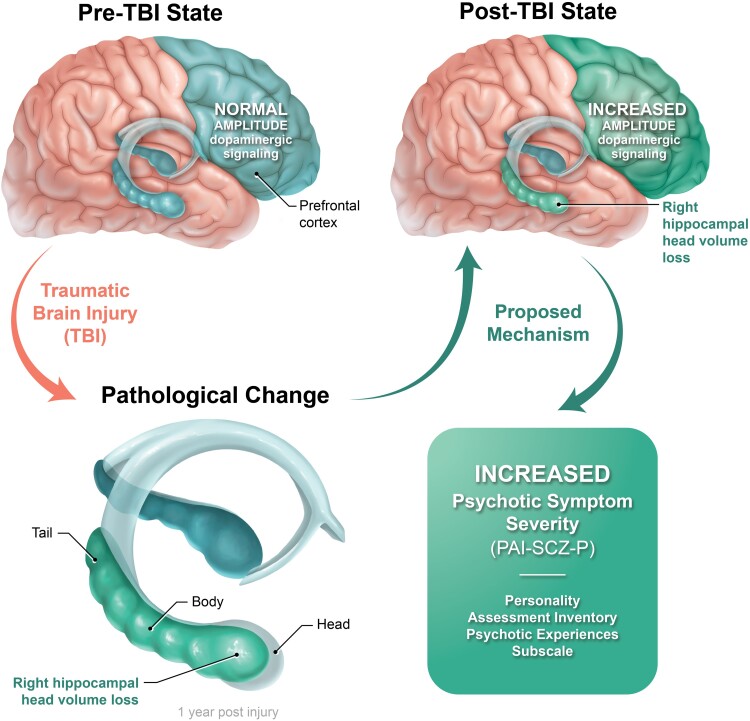 Graphical Abstract