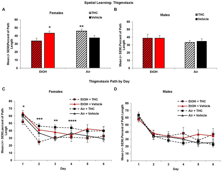 Female offspring exposed to either THC alone or alcohol alone were more thigmotaxic compared to those exposed to the combination or controls (A,C). No differences were observed among male offspring (B,D). *EtOH + Vehicle > EtOH + THC, p < 0.05; **Air + THC > EtOH + THC and Air + Vehicle, p’s < 0.05; ***all other groups > EtOH + THC, p’s < 0.05; ****Air + THC > EtOH+THC, p’s < 0.05.