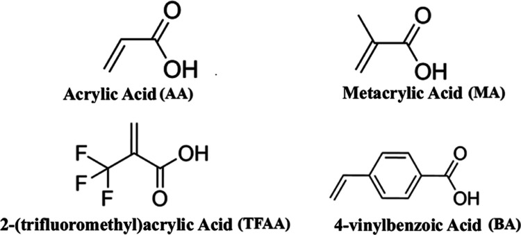 FMs applied in this work, with their respective names and abbreviations.