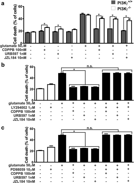 Neuroprotection induced by CDPPB, URB597 and JZL184 is dependent on both ERK1/2 and AKT. a Graph shows cell death levels of corticostriatal neurons from either PI3Kγ+/+ or PI3Kγ−/− embryos that were either untreated (−) or treated (+) with 50 μM glutamate, 100 nM CDPPB, 1 nM URB597 and 10 nM JZL184 for 4 h. Data represent the means ± SEM of four independent experiments. * indicates significant difference as compared to matched treated PI3Kγ+/+ neurons and # indicates significant difference as compared to glutamate-treated PI3Kγ−/− neurons (p <0.05). Graphs show cell death levels of primary cultured corticostriatal neurons that were either untreated (−) or treated (+) with 50 μM glutamate, 100 nM CDPPB, 1 nM URB597, 10 nM JZL184, 1 μM LY294002 (b) and 10 μM PD98059 (c) for 4 h. Data represent the means ± SEM of four independent experiments. n.s. indicates not significant and * indicates significant difference as compared to glutamate treated neurons (p <0.05)