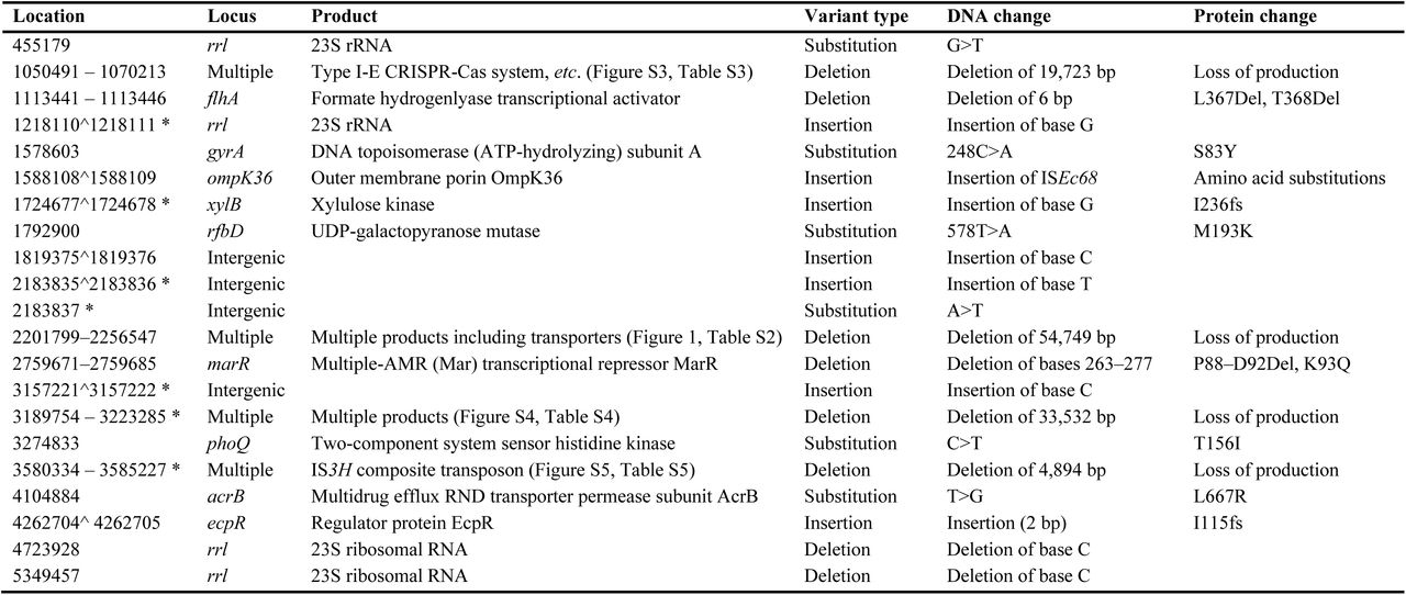 Chromosomal genetic variation in isolate KpMVR1 identified via comparison against its progenitor KpMVS1. Coordinates refer to locations in the reference sequence of the KpMVS1 chromosome. Variants shared by both KpMVR1 and KpMVS2 against their common reference sequence of KpMVS1 are indicated by asterisks following the coordinates. The “^” sign indicates an insertion between two consecutive bases in the reference sequence. Abbreviations: CRISPR, clustered regularly interspaced short palindromic repeats; Cas: CRISPR-associated genes; Del, deletion; Ins, insertion; fs, frameshift.